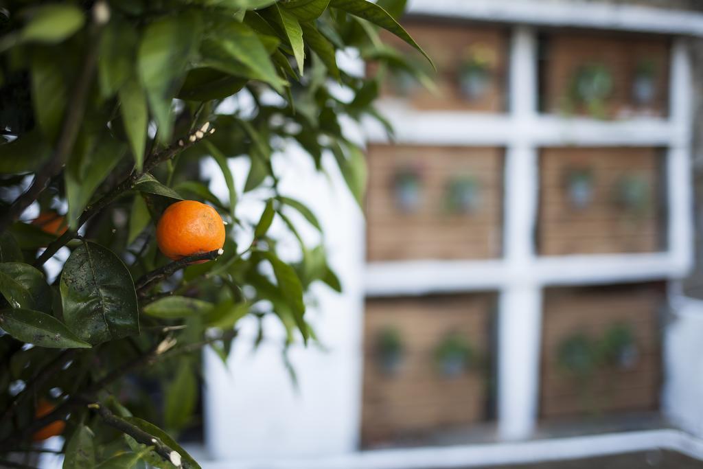 Apartament Terro Collection - Porto Zewnętrze zdjęcie